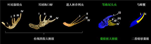 “功夫皇帝”李连杰零片酬出演 首部短剧《剑归》全集上线:曾直言舞台大小不重要