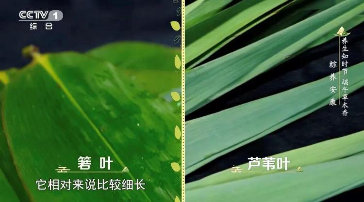 廉价码农还能走多远?AI正摧毁印度最强产业