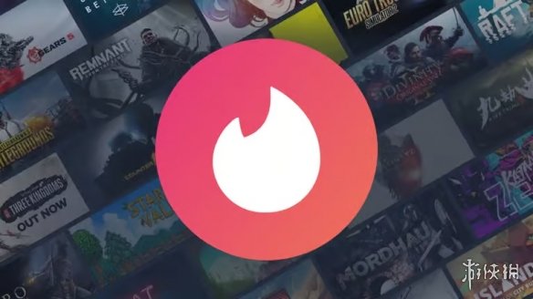 Steam游戏太多?免费神器Dustpile 帮你约会库存!