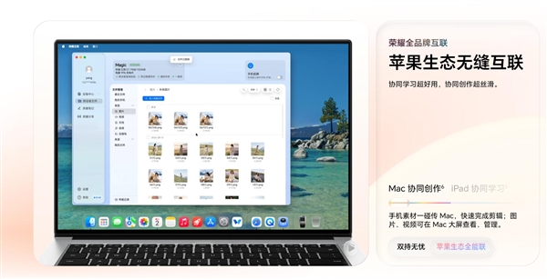 全球手持智能相机中国品牌霸榜！大疆、影石合计拿下93%份额